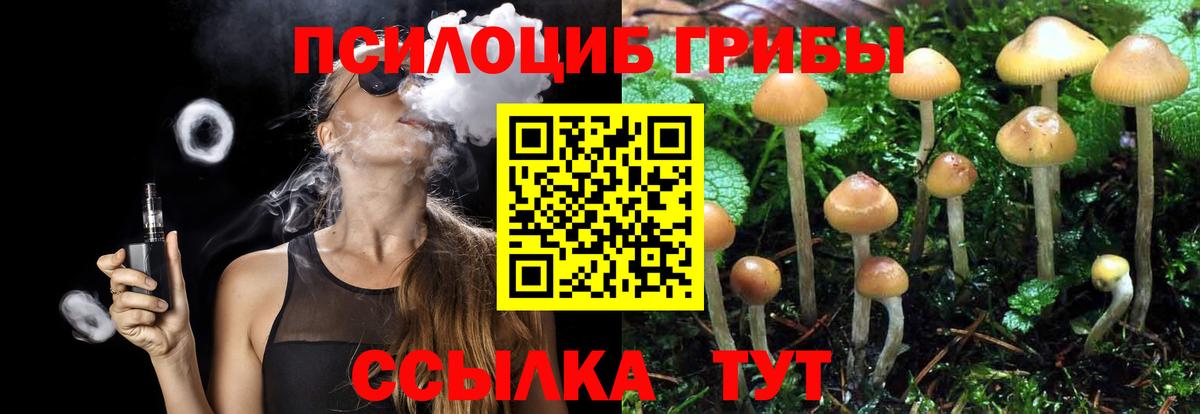 ТГК Луга